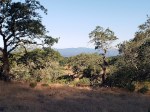 190716 Sugarloaf seen from Annadel&nbsp;2