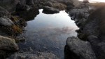 Tide Pool & Reflections&nbsp;2