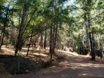 191017 Annadel Robertson&nbsp;Trail