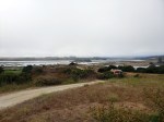 190810 Elkhorn Slough&nbsp;1