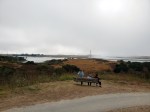 190810 Elkhorn Slough&nbsp;4