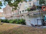 190905 Sudden Heron on Canal&nbsp;1