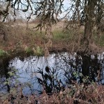 20200216 Laguna de Santa Rosa&nbsp;Shadows