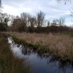 20200216 Laguna de Santa&nbsp;Rosa