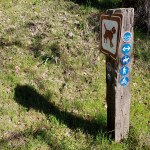 Canyon Trail Sign&nbsp;Pole