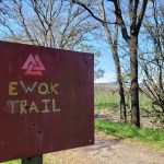 Ewok Trail Sign