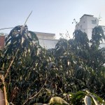 UM10-20200402_073732