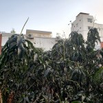 UM11-20200401_065628