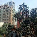 UM16-20200415_085412