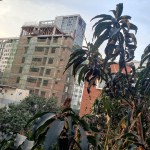 UM20-20200410_174227