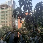 UM22-20200407_152048