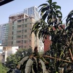 UM23-20200406_082112