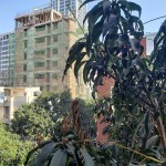 UM27-20200331_081816