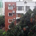 UMG1.15 20200426_062722