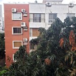 UMG1.16 20200425_171531