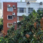 UMG1.19 20200419_081606