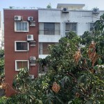 UMG1.3 20200508_082347