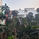 UMG1.4 20200507_054324