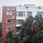 UMG1.5 20200507_054229