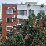 UMG1.6 20200505_080100