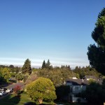 08-22 Saturday Morning