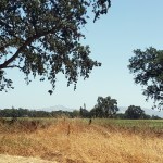 Bennett Mtn From&nbsp;Rodota