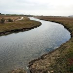 Bodega Doran Park wetlands&nbsp;2