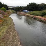Bodega Doran Park wetlands&nbsp;3