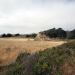 Doran Park Grass & Hills&nbsp;1