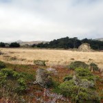 Doran Park Grass & Hills&nbsp;2