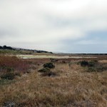 Doran Wetlands Looking&nbsp;South