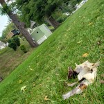 Death on the Lake&nbsp;2