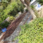 20201009 Prop P &&nbsp;Biden-Harris