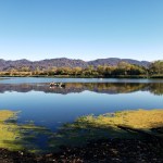 20201018 Mayacamas & Hood Mtn from Spring Lake&nbsp;2
