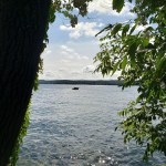 On the Lake Path&nbsp;6