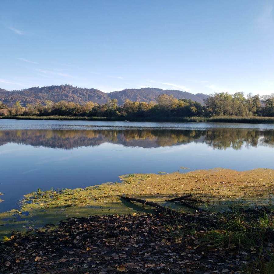 20201022S Spring Lake &amp; Flying Swans