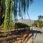 20201101 Mayacamas Burn&nbsp;3