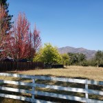 20201101 Mayacamas Burn&nbsp;4