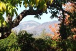20201101 Mayacamas Burn from Oakmont&nbsp;1
