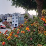 Urban Garden & Dolores Hts&nbsp;Houses