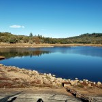 1 – 20201114 First-Rain Ilsanjo&nbsp;2