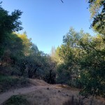 20201108 Annadel Side Trail&nbsp;1