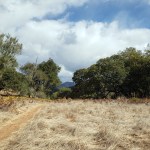 20201108 Annadel Side Trail&nbsp;2