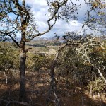 20201108 View from&nbsp;Annadel