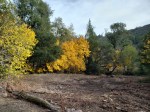 20201121 Sugarloaf – Autumn Color at Burn&nbsp;Line