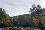 20201121 Sugarloaf Autumn&nbsp;Color