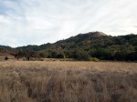 20201121 Sugarloaf Bald&nbsp;mtn