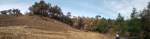 20201121 Sugarloaf – Burned Hillside&nbsp;Pano