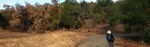 20201121 Sugarloaf – Burned Hlilside Pano w&nbsp;Trail