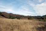 20201121 Sugarloaf – SE ridge line from&nbsp;meadow